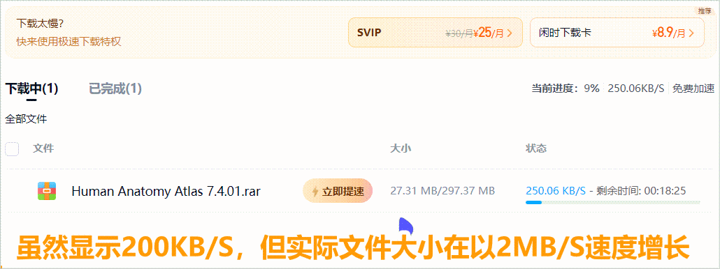 百度网盘解除限速，2025年6月加速器复活版-第2张图片-IT技术视界