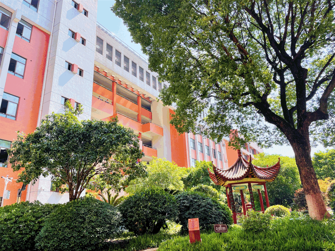 长沙市第十一中学