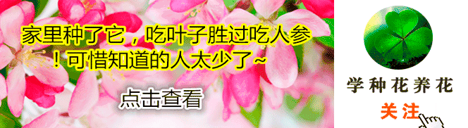 两个月女婴长出男.性器官,只因妈妈怀孕时经常做这件事