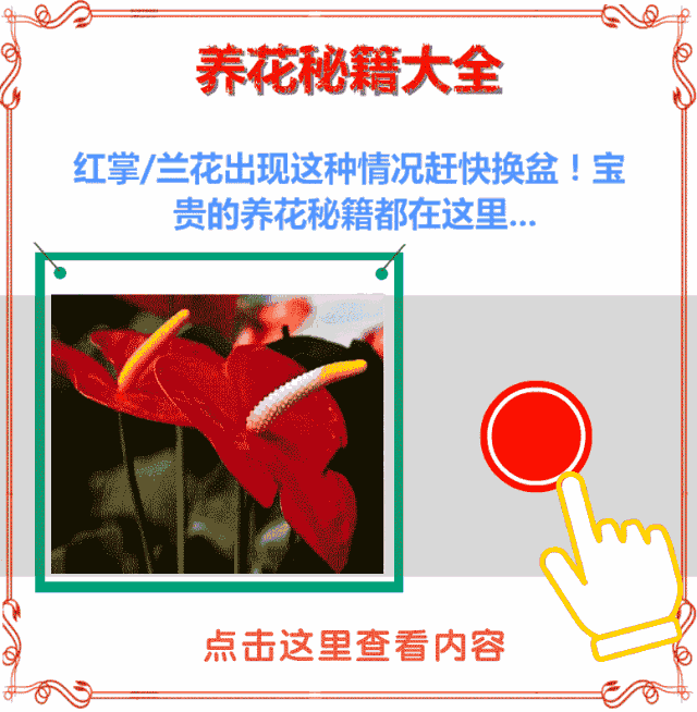 【瘦身飲食】食用合適的蔬菜，減肥不再那麼難！ 運動 第13張