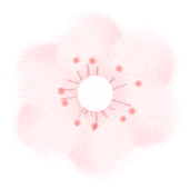 动态心电图系统怎么用【康达健康科普】动态心电图 — 心脏的24小时“贴身保镖”！_https://www.jmylbn.com_新闻资讯_第15张