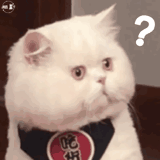 阳气不足百病生，春夏养阳不妨从“艾”开始···