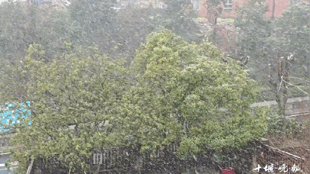 十堰下雪啦！