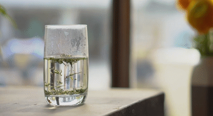 碧螺春是一种_碧螺春套种_碧螺春间种