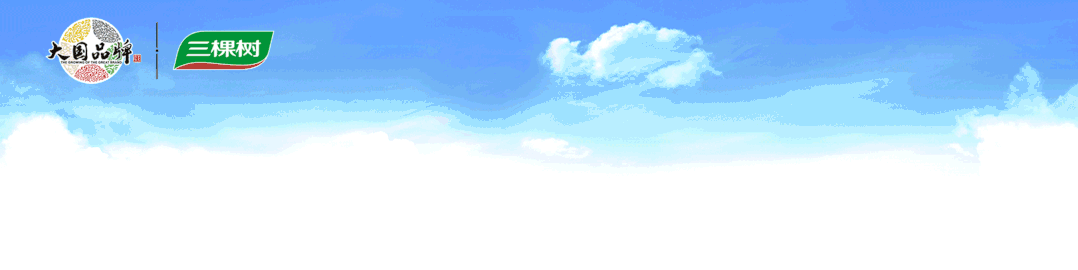 上海 | 保温装饰板外保温系统设计新规定——《外墙保温系统及材料应用统一技术规定（暂行）》发布