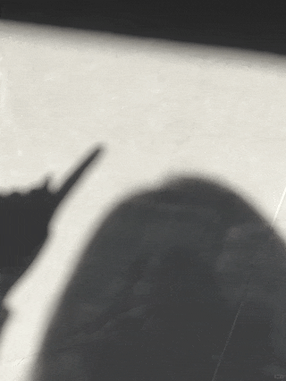 8099999街头巷尾微信