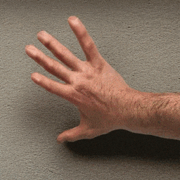 生成式 AI 动画技术概述