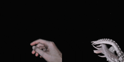 生成式 AI 动画技术概述