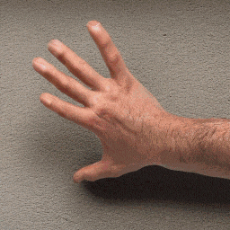 生成式 AI 动画技术概述