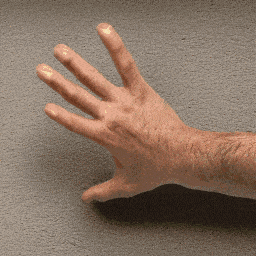 生成式 AI 动画技术概述