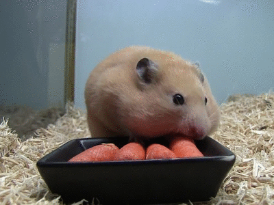 【国基路市场】--帮你划拉