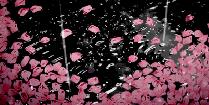 700_354gif 动态图 动图