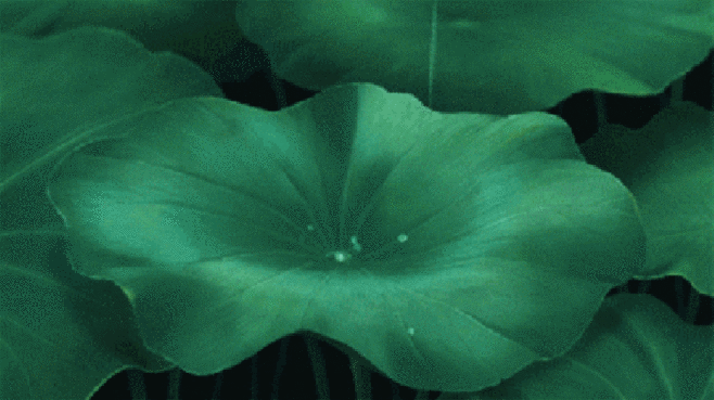 京东白条额度套现找谁(信用卡套现,花呗套现,京东白