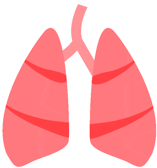 什么可以代替呼吸机机器代替呼吸时如何让肌肉不“躺平”_https://www.jmylbn.com_新闻资讯_第8张