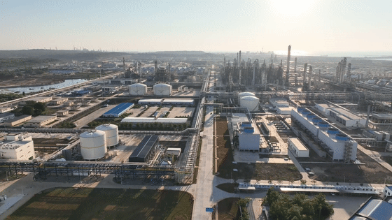 qq宠物怎么增加爱情值_仙剑活力值用什么增加_第一产业增加值