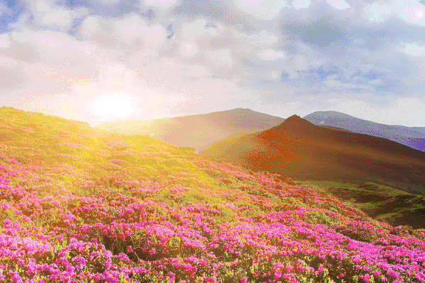 600_400gif 动态图 动图