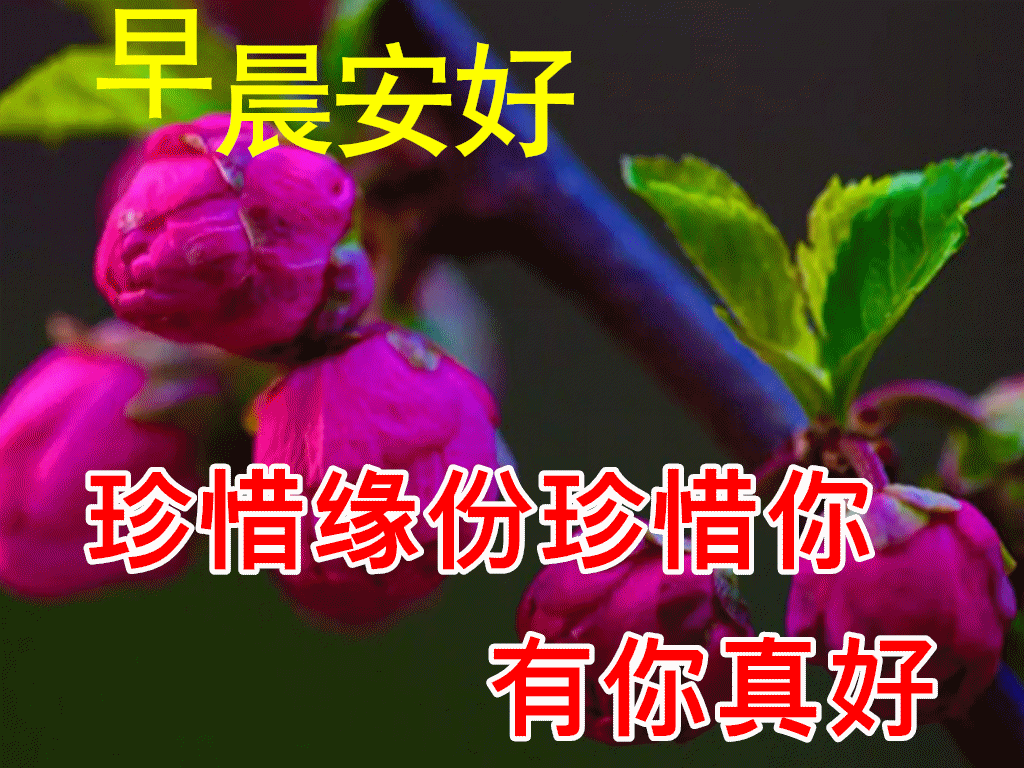 6月17日早上好动态表情图片大全 早晨好动图美图大全 Hi有料