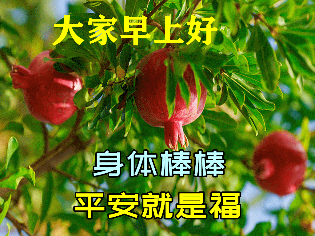 11月14日早上好动态表情图片大全 早晨好动图美图大全 点点星光 为新搜