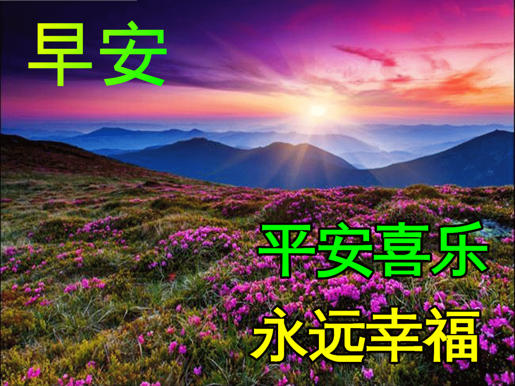 早上问候表情包_美女早上问候表情包_问候表情包