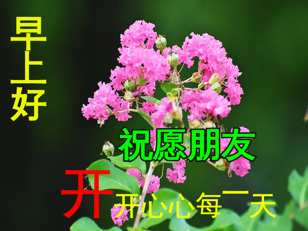 问候表情包_早上问候表情包_美女早上问候表情包