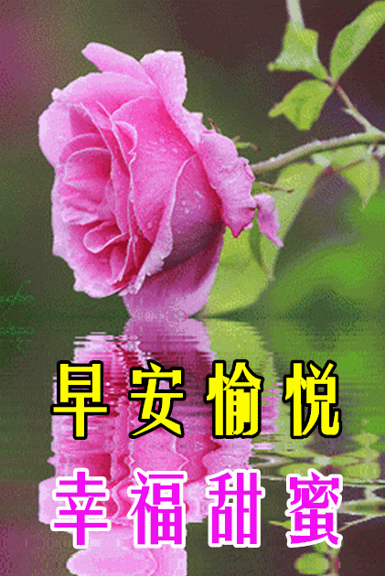 5月3日最漂亮早上好动态表情图片大全 早晨好动图美图大全 Hi有料