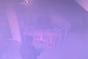 ͼƬ
