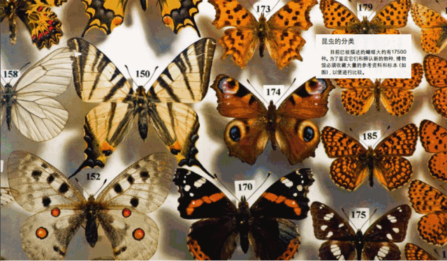 1本百科全书，6000张高清插图，让孩子轻松学会45亿地球历史