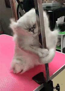 亚欧币骗局揭秘_雷达币骗局揭秘_币圈骗局