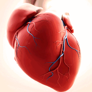 为什么选择双相波除颤仪有什么作用？双向波单项波有什么不同？_https://www.jmylbn.com_新闻资讯_第4张