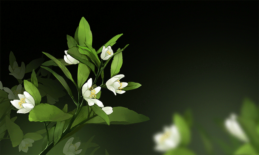 头发是脏腑的“照妖镜”！白发从哪来，病就从哪来！做3事，提前预防