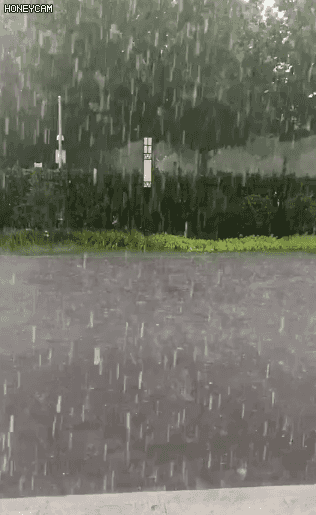 316_515竖版 竖屏gif 动态图 动图