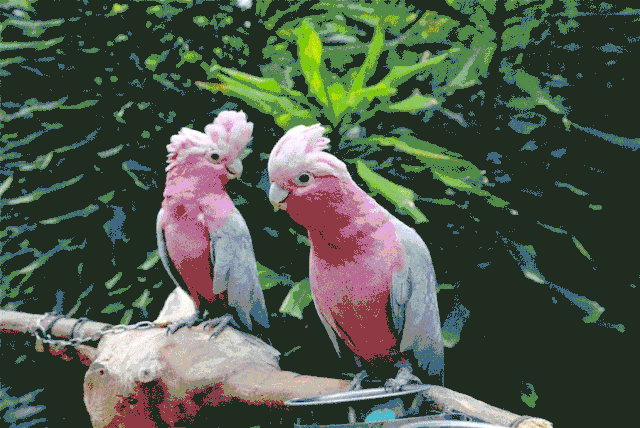 Feng爆 丰台文化和旅游消夏季活动今日正式启动 环游号