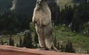 牙龈肿痛、出血，真的是因为上火了吗？