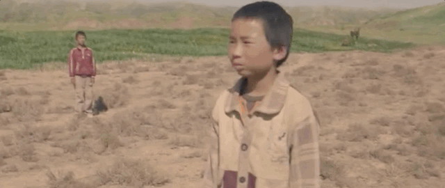 



他们是生活在河西走廊的游牧民族
