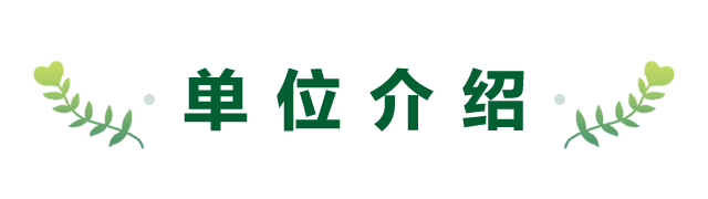 dr数字怎么用让盲盒不再“盲”！揭秘DR数字胸片的透视超能力_https://www.jmylbn.com_新闻资讯_第18张