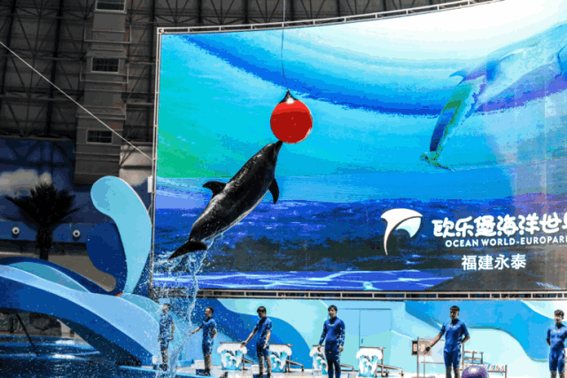 2020福州欧乐堡海洋世界春节活动时间地点