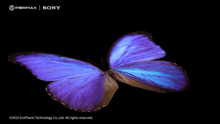 PBRMAX & SONY打造高精度裸眼3D数字艺术品