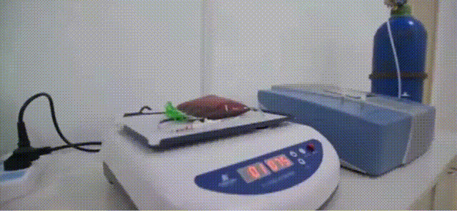 三氧疗法怎么代理千万不要做三氧疗法！一旦做了，你会后悔......_https://www.jmylbn.com_新闻资讯_第6张