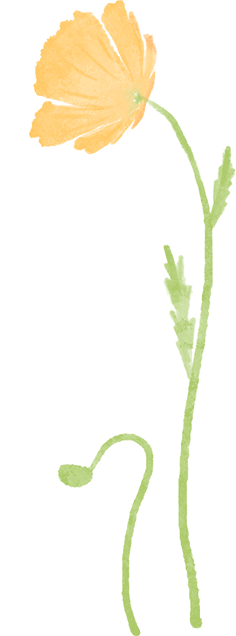 平安人寿安徽分公司客户回访服务案例：暖心相伴显真情，专业守护在身边