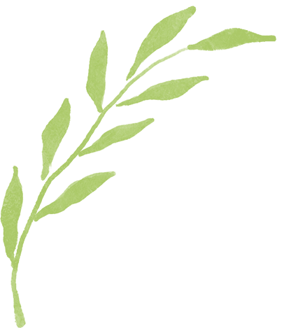 割双眼皮什么梗