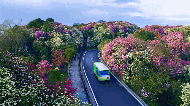 3月最佳旅行地 | 7元嗦粉、5元坐船、0元看花海，中国有的是好看又好吃的地方！