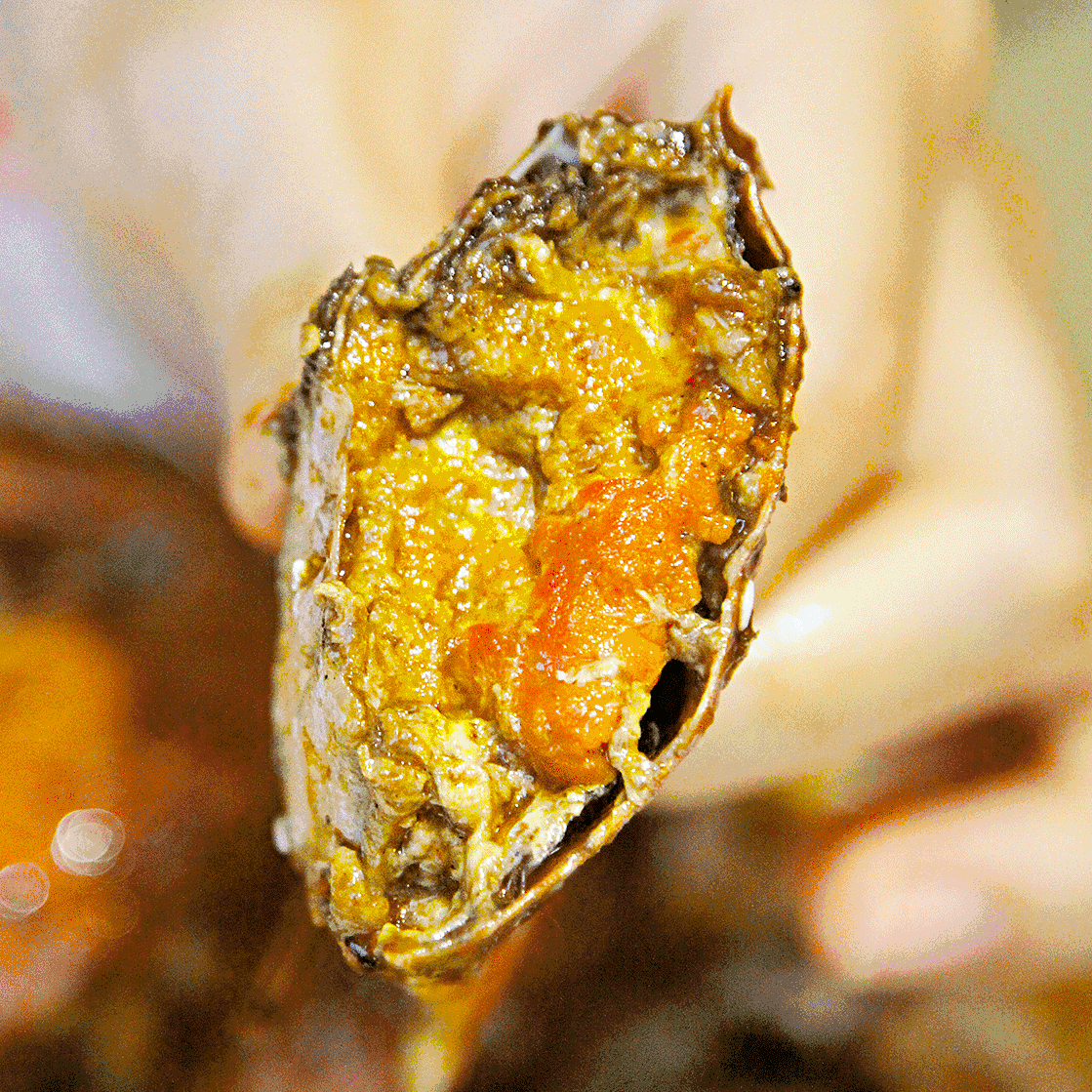 蟹逅美味蟹谢侬蟹肉煲又一大牌惊艳老河口武商广场了一年3000万的粉丝