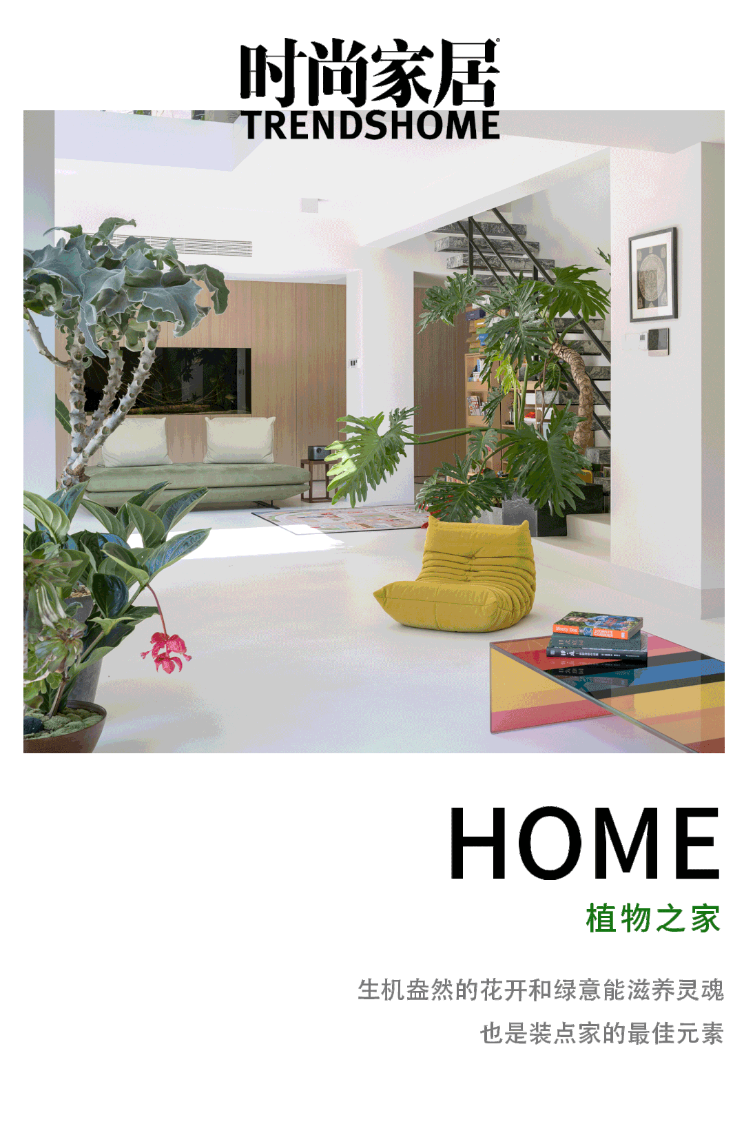 家种上百株植物的340 将春夏风景搬进家 生活家 生活资讯 生活315 生活指南 生活品位 微信头条新闻公众号文章收集网