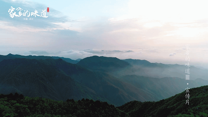 河北美食丨纪录片《家乡的味道》第三季主人公招募引燃河北人民