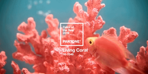 除了珊瑚色，2019這些顏色讓你看起來更美！ 時尚 第1張
