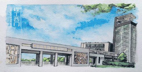 魔镜魔镜，我的发际线去哪了？