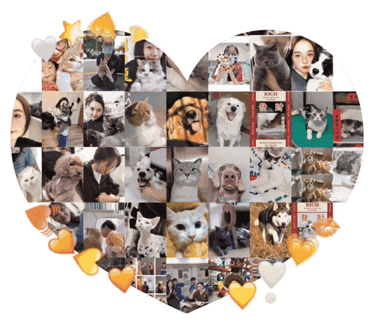 养宠福利安排上了，你家主子还缺啥？