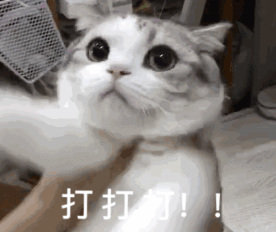 我被记仇的主子“报复”了！