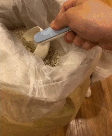 爸妈不准养猫？来看看大型“真香现场”