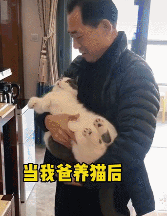爸妈不准养猫？来看看大型“真香现场”